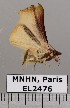  ( - EL2476)  @11 [ ] CreativeCommons - Attribution (2015) MNHN Muséum national d'Histoire naturelle