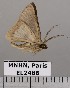  ( - EL2486)  @14 [ ] CreativeCommons - Attribution (2015) MNHN Muséum national d'Histoire naturelle