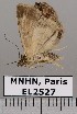  ( - EL2527)  @13 [ ] CreativeCommons - Attribution (2015) MNHN Muséum national d'Histoire naturelle
