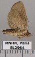  ( - EL2964)  @14 [ ] CreativeCommons - Attribution (2015) MNHN Muséum national d'Histoire naturelle