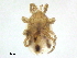  ( - BIOUG32113-A02)  @11 [ ] CreativeCommons - Attribution (2019) CBG Photography Group Centre for Biodiversity Genomics