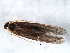  ( - 07ELEPT-258)  @13 [ ] CreativeCommons - Attribution (2008) Unspecified Centre for Biodiversity Genomics