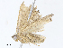  ( - CBG-A07109-C12)  @11 [ ] CreativeCommons - Attribution Share - Alike (2023) CBG Photography Group Centre for Biodiversity Genomics