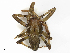  ( - CBG-A51846-H01)  @11 [ ] CreativeCommons - Attribution Share-Alike (2024) CBG Photography Group Centre for Biodiversity Genomics