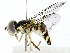  ( - BIOUG91302-E11)  @11 [ ] CreativeCommons - Attribution (2022) CBG Photography Group Centre for Biodiversity Genomics