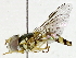  ( - BIOUG91302-F01)  @11 [ ] CreativeCommons - Attribution (2022) CBG Photography Group Centre for Biodiversity Genomics