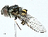  ( - BIOUG95304-G11)  @11 [ ] CreativeCommons - Attribution (2022) CBG Photography Group Centre for Biodiversity Genomics