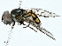  ( - BIOUG95304-G12)  @11 [ ] CreativeCommons - Attribution (2022) CBG Photography Group Centre for Biodiversity Genomics