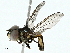  ( - BIOUG95304-H04)  @11 [ ] CreativeCommons - Attribution (2022) CBG Photography Group Centre for Biodiversity Genomics