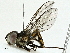  ( - BIOUG95310-G01)  @11 [ ] CreativeCommons - Attribution (2022) CBG Photography Group Centre for Biodiversity Genomics