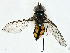  ( - BIOUG95310-G02)  @11 [ ] CreativeCommons - Attribution (2022) CBG Photography Group Centre for Biodiversity Genomics