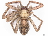  ( - BIOUG95310-H11)  @14 [ ] CreativeCommons - Attribution Non-Commercial Share-Alike (2023) CBG Photography Group Centre for Biodiversity Genomics