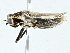  ( - BIOUG95344-C12)  @11 [ ] CreativeCommons - Attribution (2022) CBG Photography Group Centre for Biodiversity Genomics