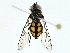 ( - BIOUG95344-D05)  @11 [ ] CreativeCommons - Attribution (2022) CBG Photography Group Centre for Biodiversity Genomics