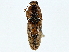  ( - BIOUG95344-F07)  @11 [ ] CreativeCommons - Attribution (2022) CBG Photography Group Centre for Biodiversity Genomics