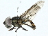  ( - BIOUG97726-E09)  @11 [ ] CreativeCommons - Attribution (2023) CBG Photography Group Centre for Biodiversity Genomics