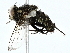  ( - BIOUG97727-E06)  @11 [ ] CreativeCommons - Attribution (2022) CBG Photography Group Centre for Biodiversity Genomics