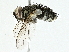  ( - BIOUG97727-F02)  @11 [ ] CreativeCommons - Attribution (2022) CBG Photography Group Centre for Biodiversity Genomics