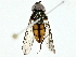  ( - BIOUG97727-H01)  @11 [ ] CreativeCommons - Attribution (2022) CBG Photography Group Centre for Biodiversity Genomics