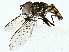  ( - BIOUG97737-H06)  @11 [ ] CreativeCommons - Attribution (2022) CBG Photography Group Centre for Biodiversity Genomics