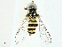  ( - BIOUG97745-G01)  @11 [ ] CreativeCommons - Attribution (2022) CBG Photography Group Centre for Biodiversity Genomics