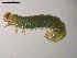  ( - 10PROBE-18800)  @12 [ ] CreativeCommons - Attribution (2010) CBG Photography Group Centre for Biodiversity Genomics