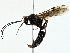  ( - BIOUG95302-D03)  @11 [ ] CreativeCommons - Attribution (2022) CBG Photography Group Centre for Biodiversity Genomics