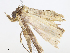  ( - CBG-A07098-F06)  @11 [ ] CreativeCommons - Attribution Share - Alike (2023) CBG Photography Group Centre for Biodiversity Genomics