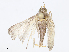  ( - CBG-A07098-F07)  @11 [ ] CreativeCommons - Attribution Share - Alike (2023) CBG Photography Group Centre for Biodiversity Genomics