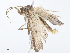  ( - CBG-A07098-F11)  @11 [ ] CreativeCommons - Attribution Share - Alike (2023) CBG Photography Group Centre for Biodiversity Genomics