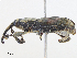  ( - CBG-A07100-G04)  @11 [ ] CreativeCommons - Attribution Share - Alike (2023) CBG Photography Group Centre for Biodiversity Genomics