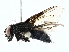  ( - BIOUG95342-F03)  @11 [ ] CreativeCommons - Attribution (2022) CBG Photography Group Centre for Biodiversity Genomics