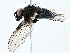  ( - BIOUG97723-E09)  @11 [ ] CreativeCommons - Attribution (2022) CBG Photography Group Centre for Biodiversity Genomics