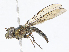  ( - CBG-A10778-A06)  @11 [ ] CreativeCommons - Attribution Share - Alike (2023) CBG Photography Group Centre for Biodiversity Genomics