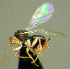  ( - EMS-S-exA09)  @11 [ ] Unspecified (default): All Rights Reserved  Unspecified Unspecified