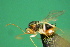  ( - EMS-S-exA58)  @11 [ ] Unspecified (default): All Rights Reserved  Unspecified Unspecified