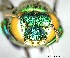  ( - YB-BCI2175)  @11 [ ] Unspecified (default): All Rights Reserved  Unspecified Unspecified