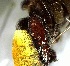  ( - YB-YY-BCI-10182)  @11 [ ] Unspecified (default): All Rights Reserved  Unspecified Unspecified