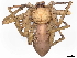  ( - BIOUG89988-H10)  @15 [ ] CreativeCommons - Attribution Non-Commercial Share-Alike (2022) CBG Photography Group Centre for Biodiversity Genomics