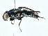  ( - BIOUG95302-F04)  @11 [ ] CreativeCommons - Attribution (2022) CBG Photography Group Centre for Biodiversity Genomics