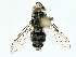  ( - BIOUG95312-A03)  @11 [ ] CreativeCommons - Attribution (2022) CBG Photography Group Centre for Biodiversity Genomics