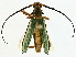  ( - BIOUG97722-B01)  @14 [ ] CreativeCommons - Attribution (2022) CBG Photography Group Centre for Biodiversity Genomics