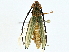  ( - BIOUG97722-B04)  @11 [ ] CreativeCommons - Attribution (2022) CBG Photography Group Centre for Biodiversity Genomics