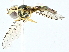  ( - BIOUG97722-D07)  @11 [ ] CreativeCommons - Attribution (2022) CBG Photography Group Centre for Biodiversity Genomics