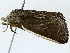  ( - BIOUG91319-D10)  @11 [ ] CreativeCommons - Attribution (2022) CBG Photography Group Centre for Biodiversity Genomics