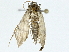  ( - BIOUG91319-F04)  @11 [ ] CreativeCommons - Attribution (2022) CBG Photography Group Centre for Biodiversity Genomics