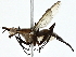  ( - BIOUG93339-E03)  @11 [ ] CreativeCommons - Attribution (2022) CBG Photography Group Centre for Biodiversity Genomics
