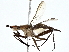  ( - BIOUG93339-E06)  @11 [ ] CreativeCommons - Attribution (2022) CBG Photography Group Centre for Biodiversity Genomics