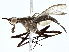  ( - BIOUG93339-E08)  @11 [ ] CreativeCommons - Attribution (2022) CBG Photography Group Centre for Biodiversity Genomics