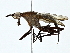  ( - BIOUG93340-B12)  @11 [ ] CreativeCommons - Attribution (2022) CBG Photography Group Centre for Biodiversity Genomics